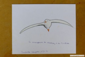 l1070407